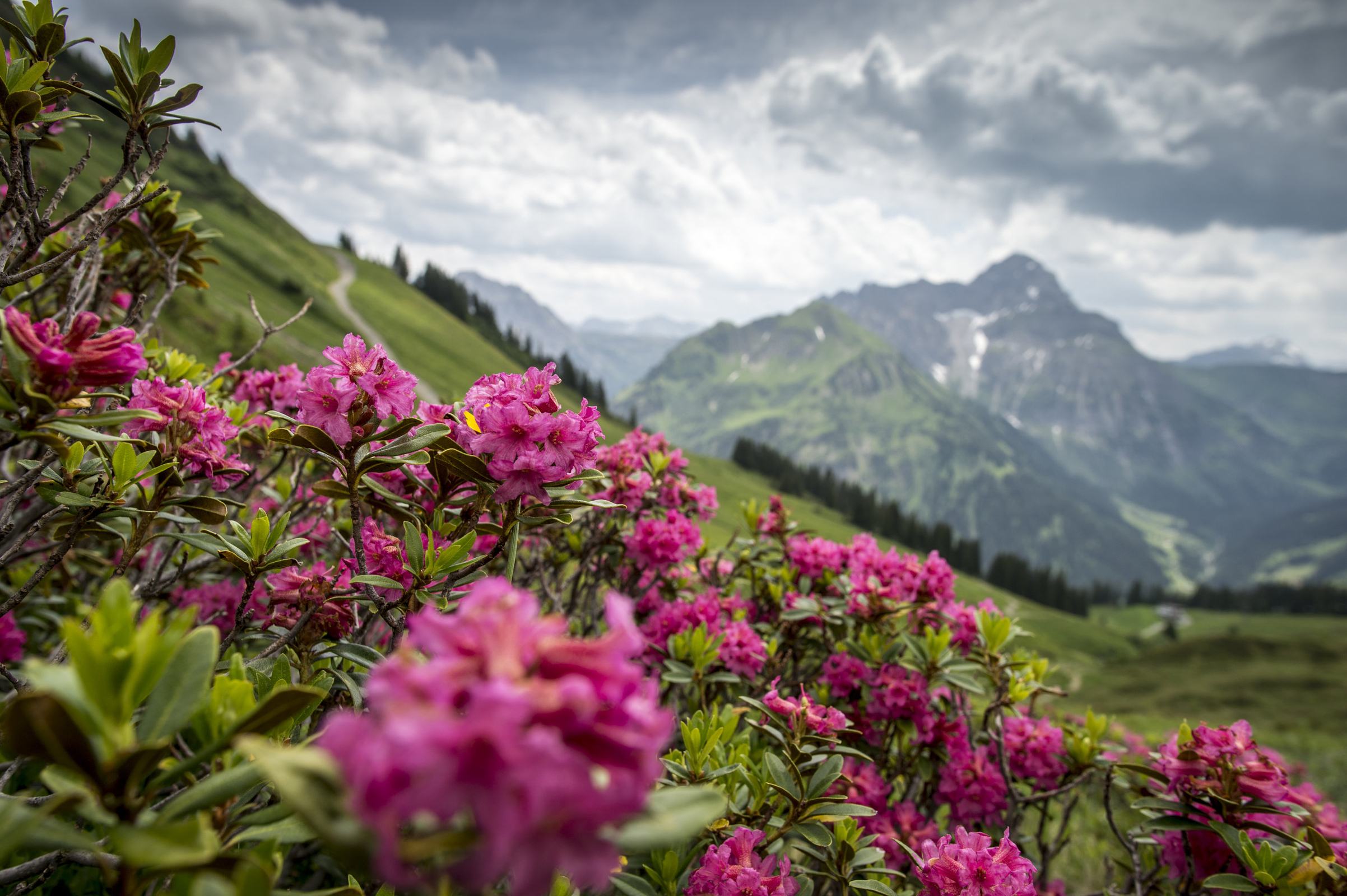 Slide 4