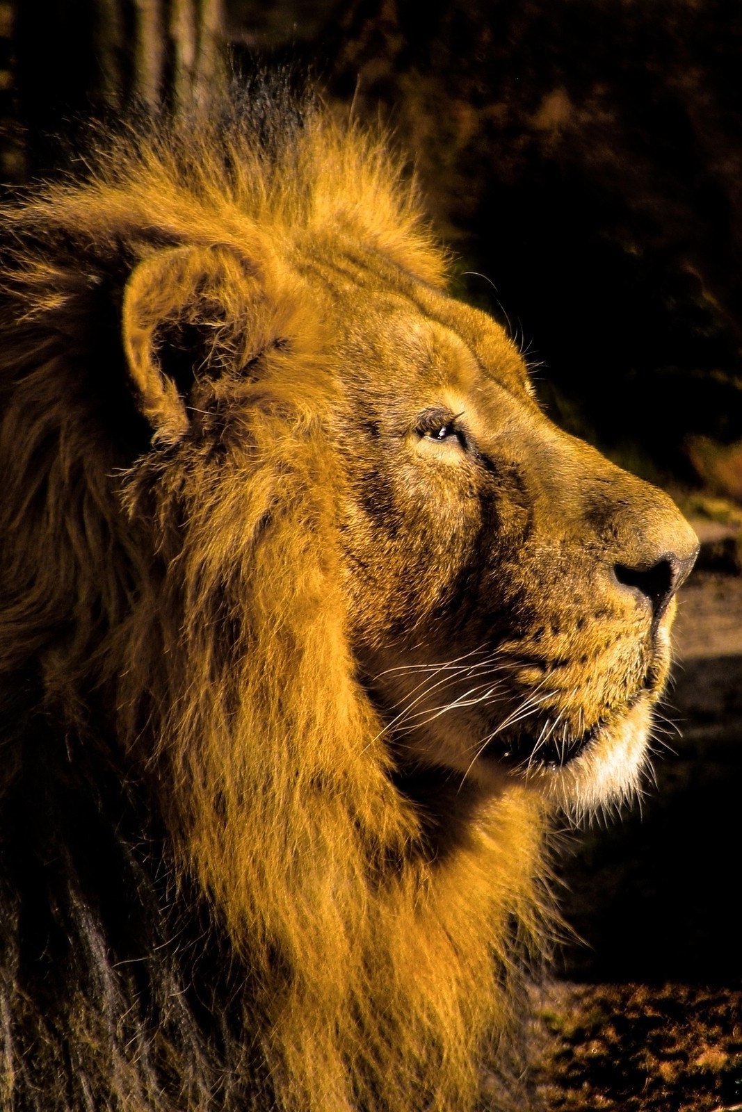Evening guided tour of the Nuremberg Zoo