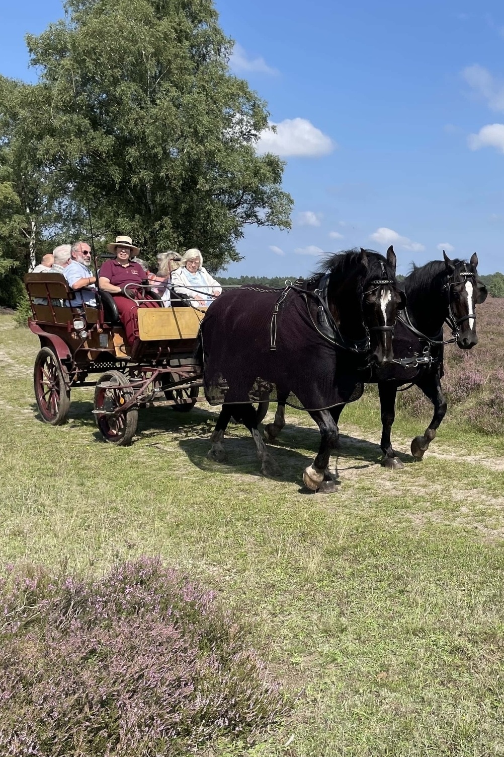 Super-Erlebnis
»Kleine Heide-Rundfahrt«