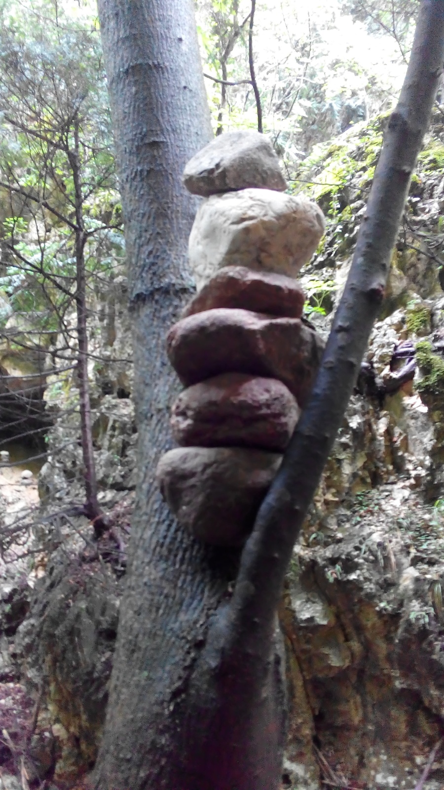 Wednesday: Balance in nature. Yoga in Gsiesertal Valley.