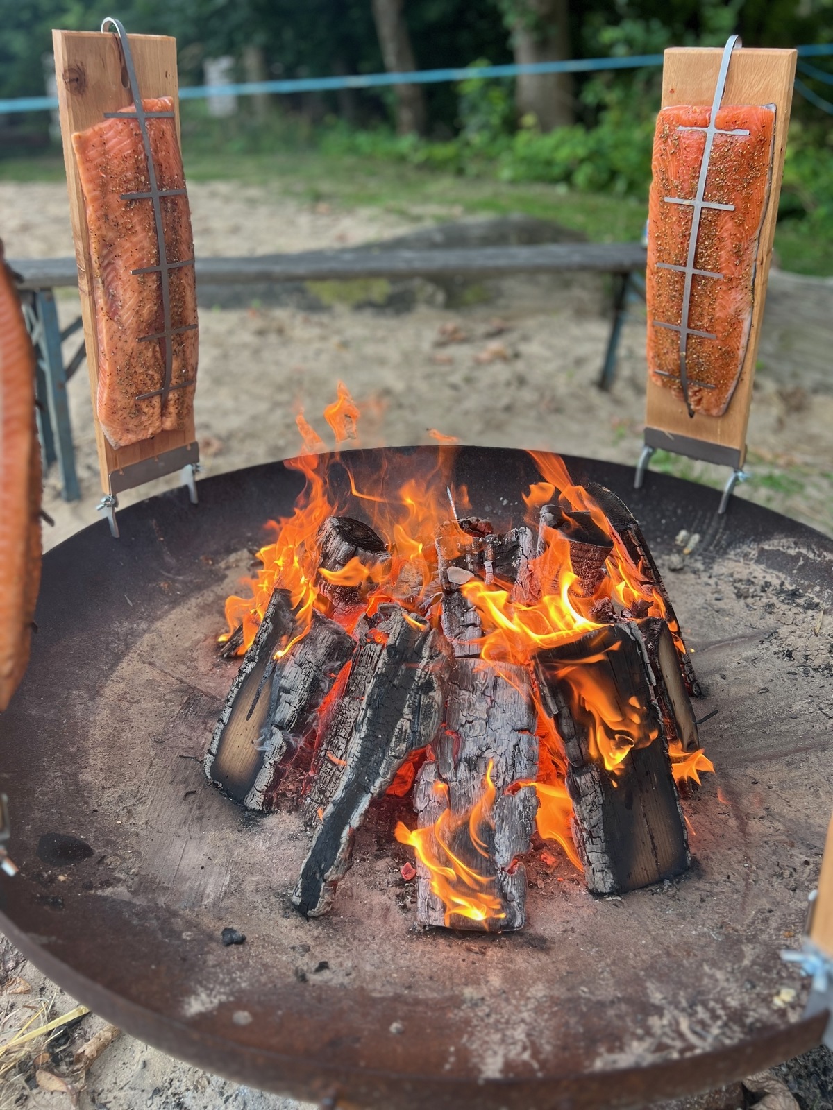 Flammlachs am offenen Feuer