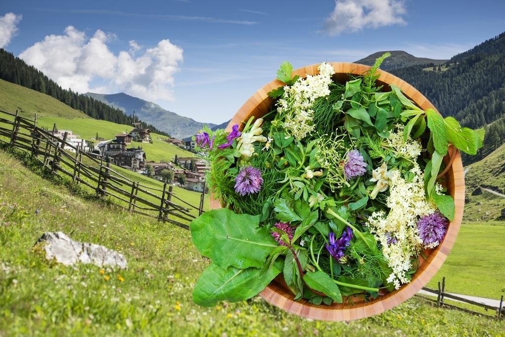 Wild herb walk in Tux