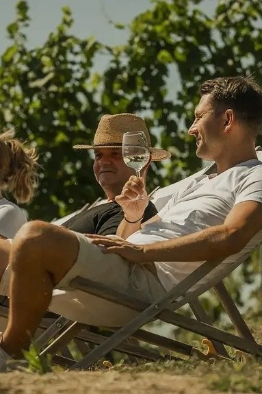 Geführter Spaziergang durch die Radebeuler Weinregion