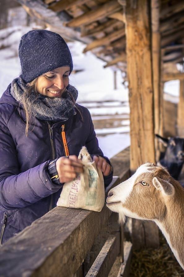 Animals, stable & warm hearts