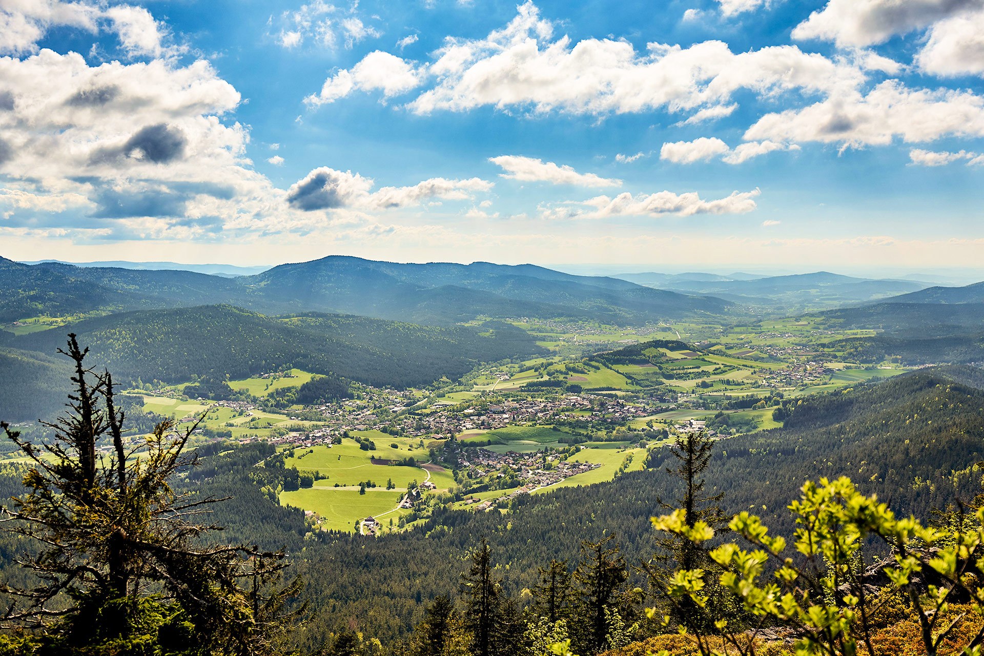 Fußreise mit Franz im Lamer Winkel image