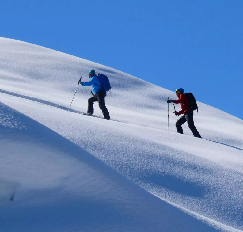 Freeride & Skitouren