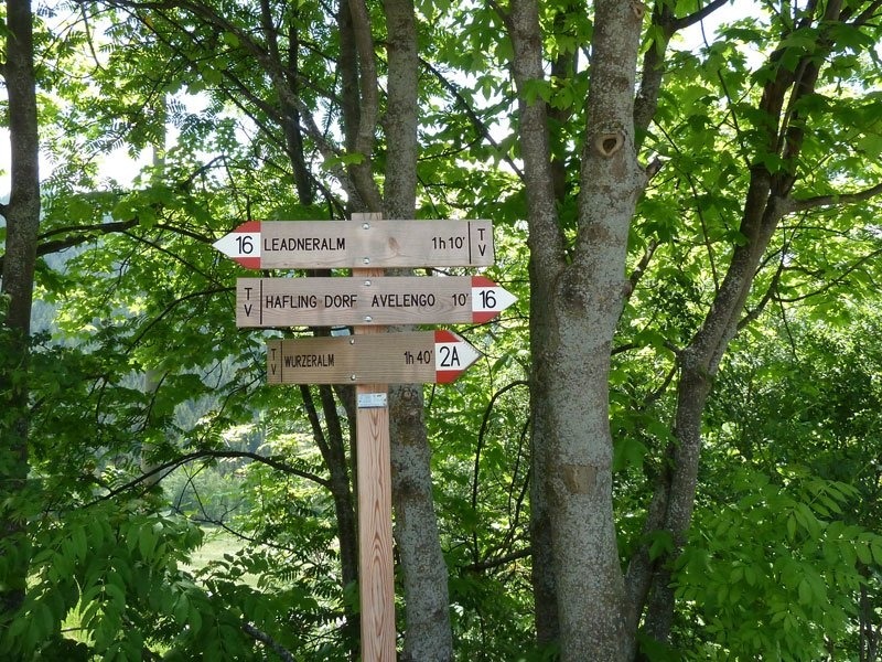 Info-desk and advices for tours image