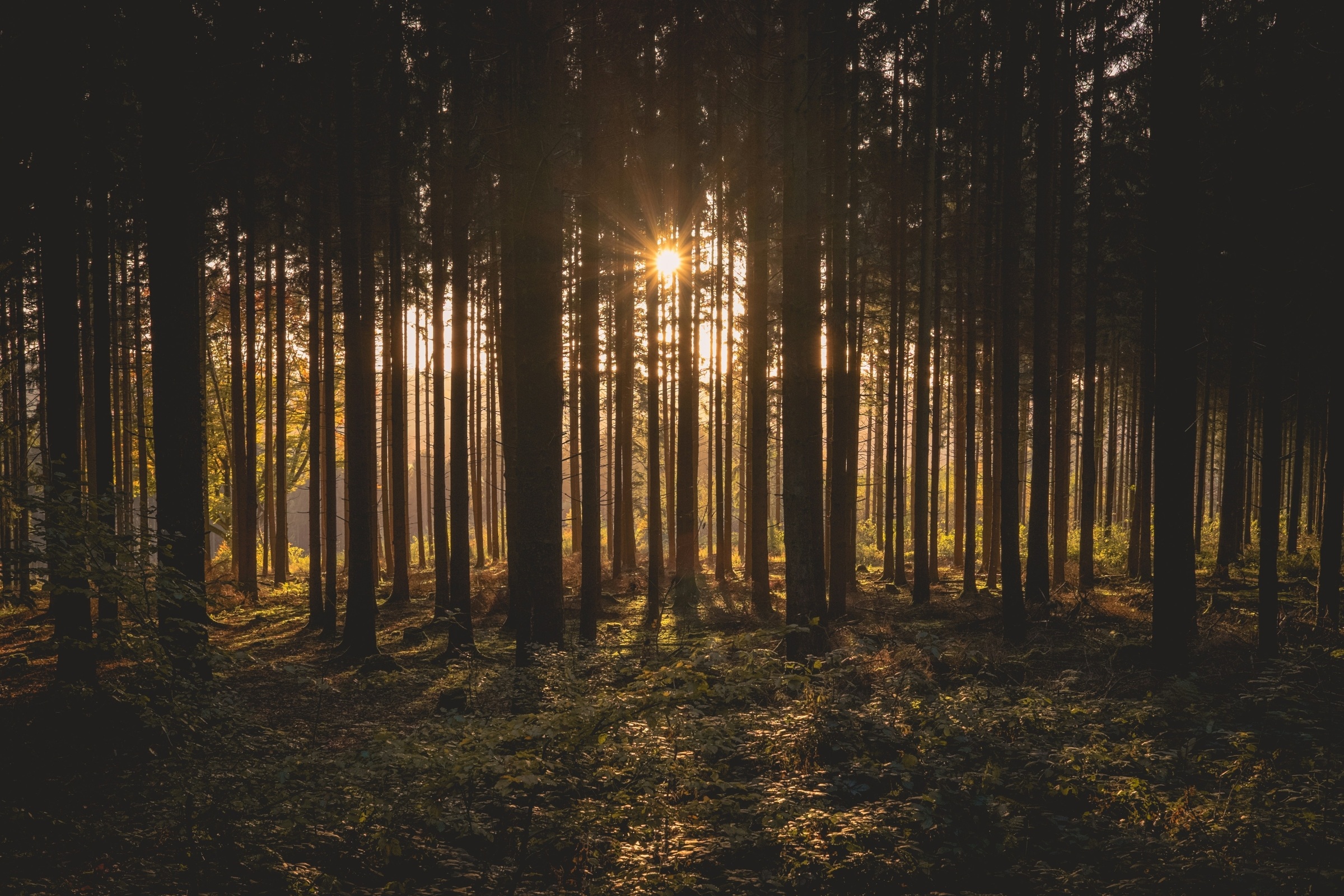Sundown-Walk - Abendrunde