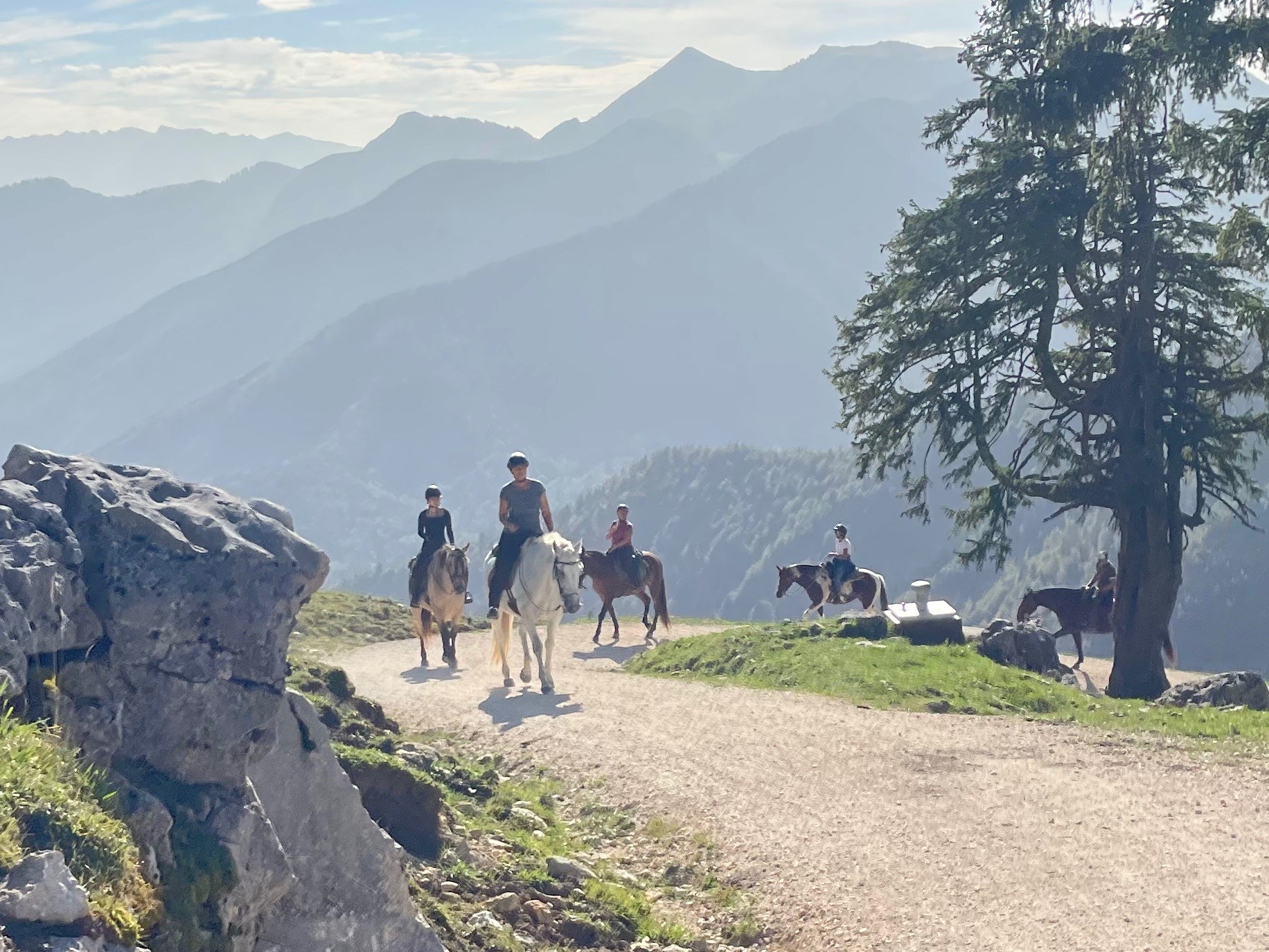 Sternritte & Horsemanshipkurs 22.10.-26.10.2025 (ausgebucht)