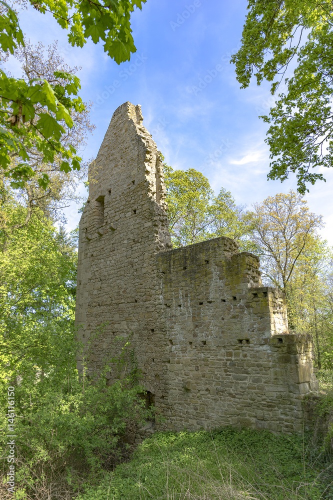 Vitaltour Disibodenberg