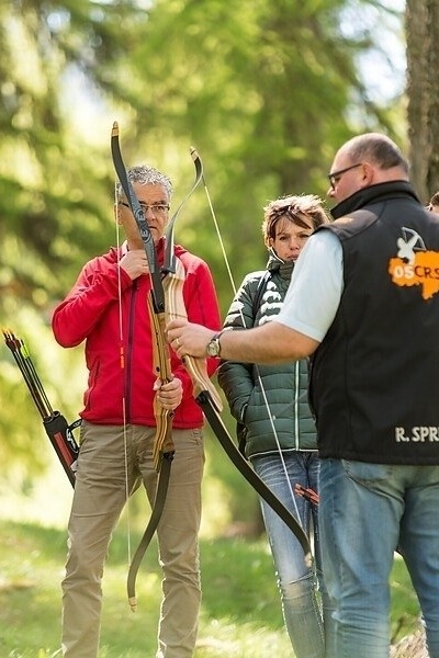 3D archery