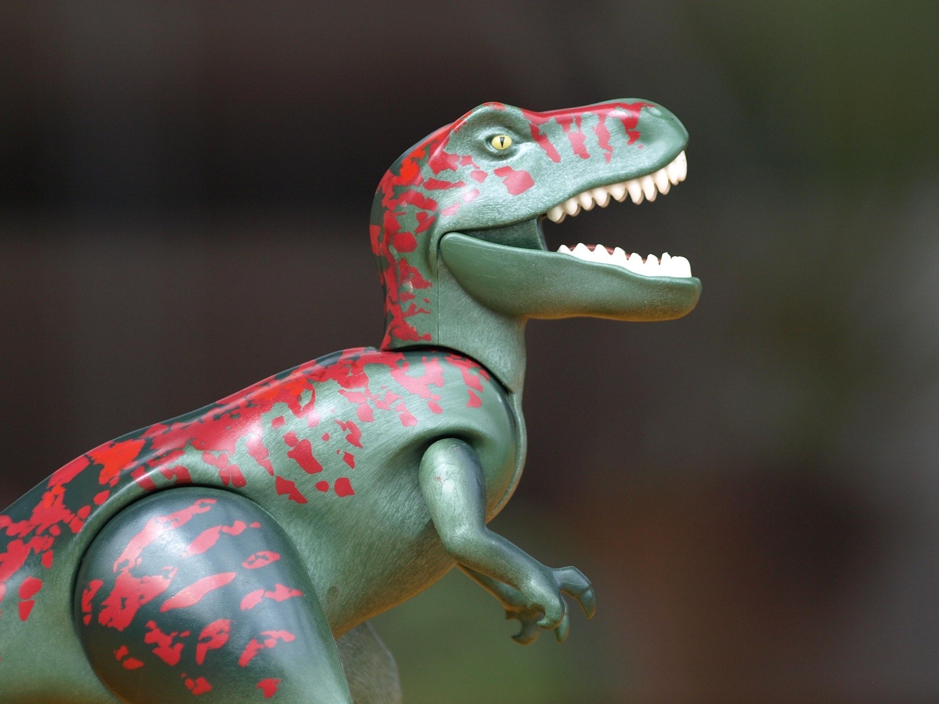 Adventurous experience: tree houses and dinosaur discoveries