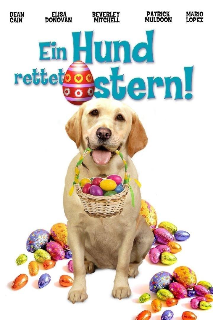 A dog saves Easter
