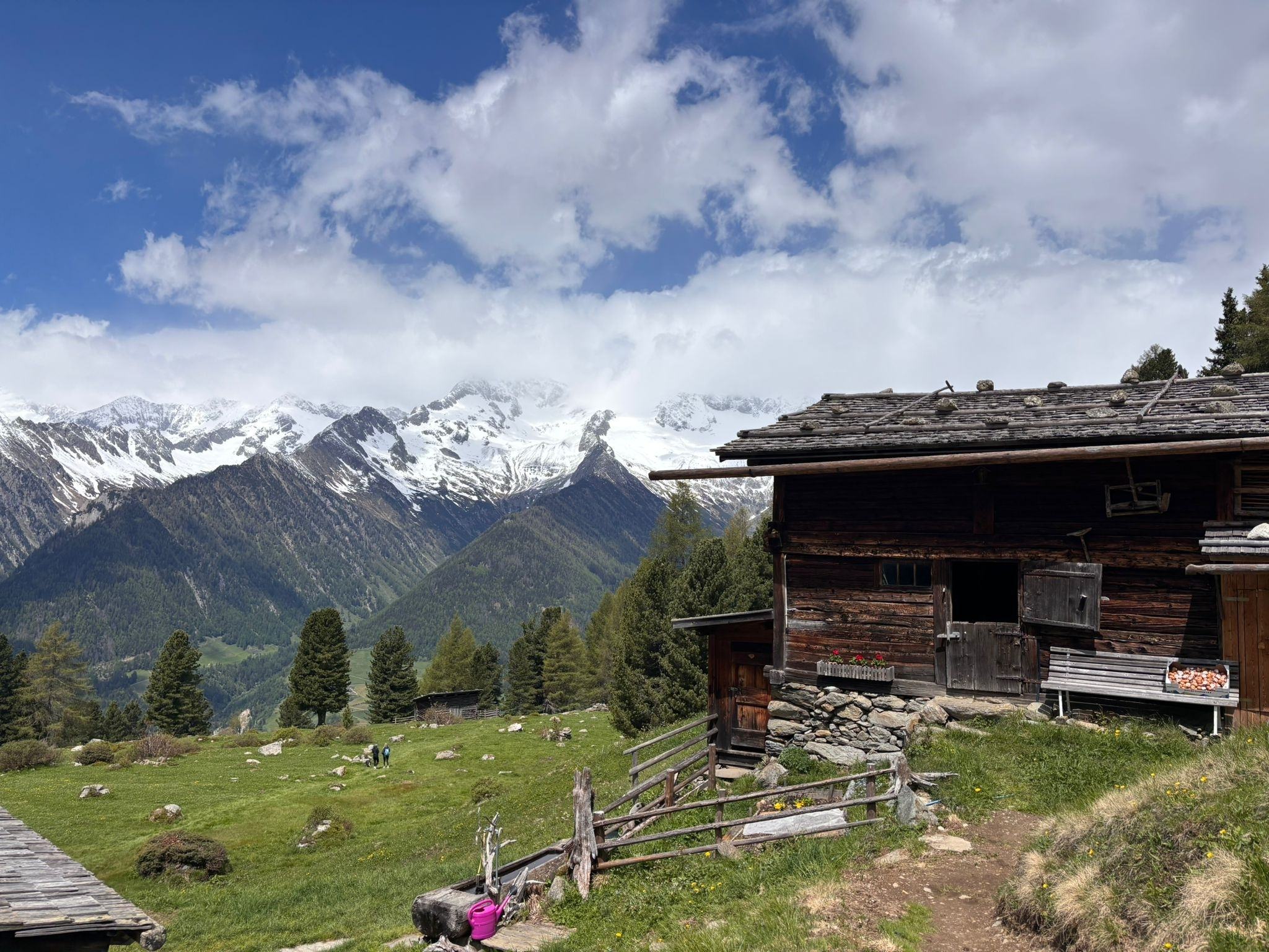 Hike | Gruber Hut*