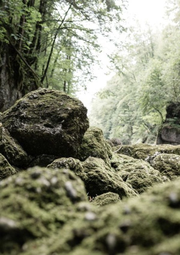 Naturbaden - gemütliche Wanderung 37ea0a39-787a-4d47-aec5-c3201e5c685c.jpg