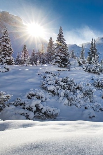 Experience the Silbertal Forest School in winter