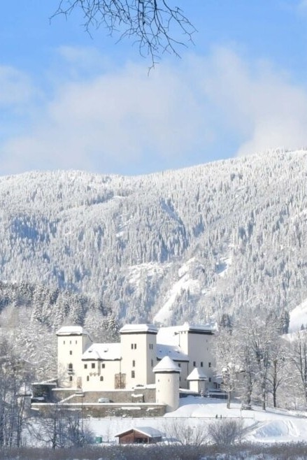 Adventmarkt in Goldegg