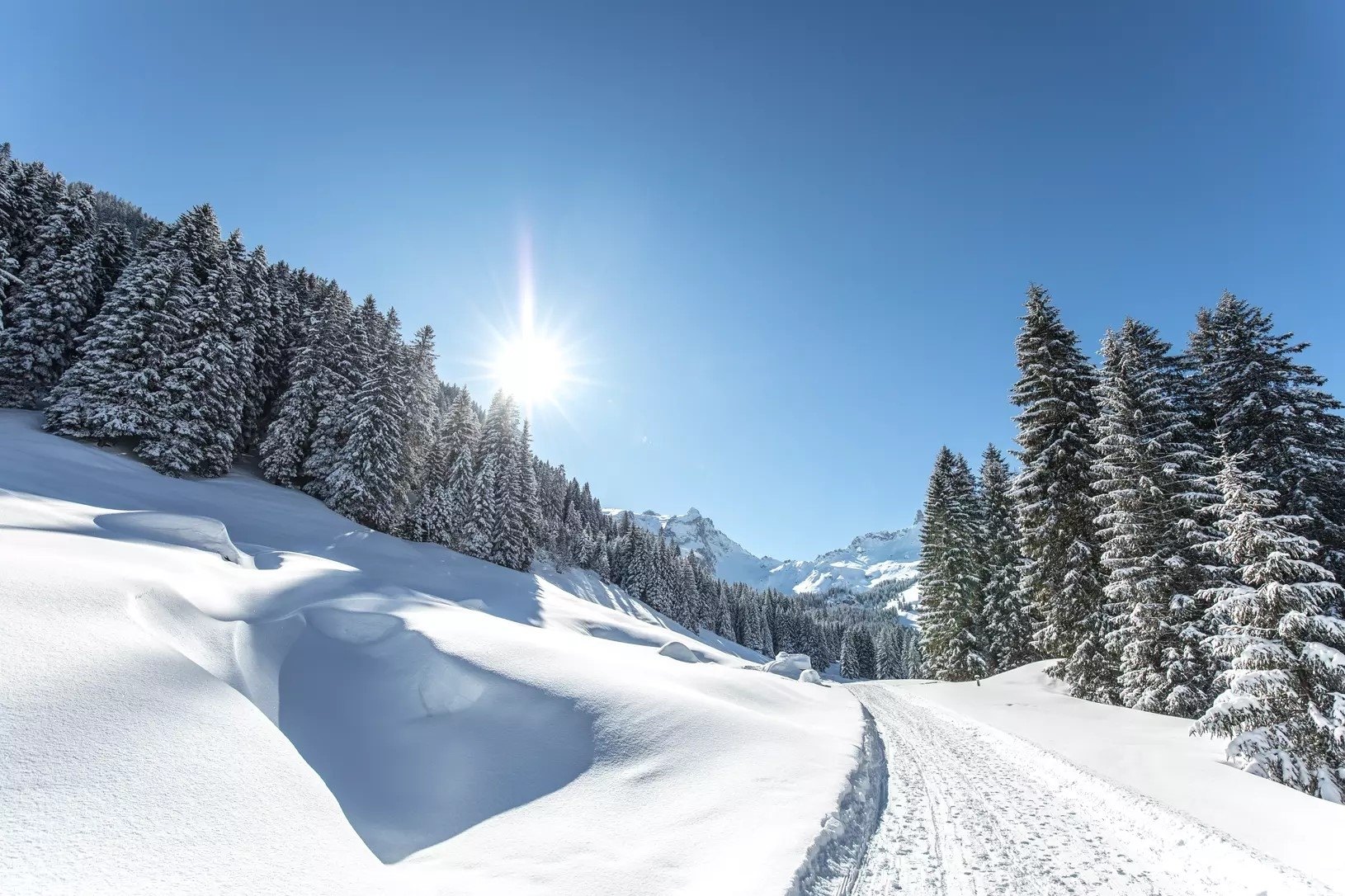 Winterwanderung Gauertal
