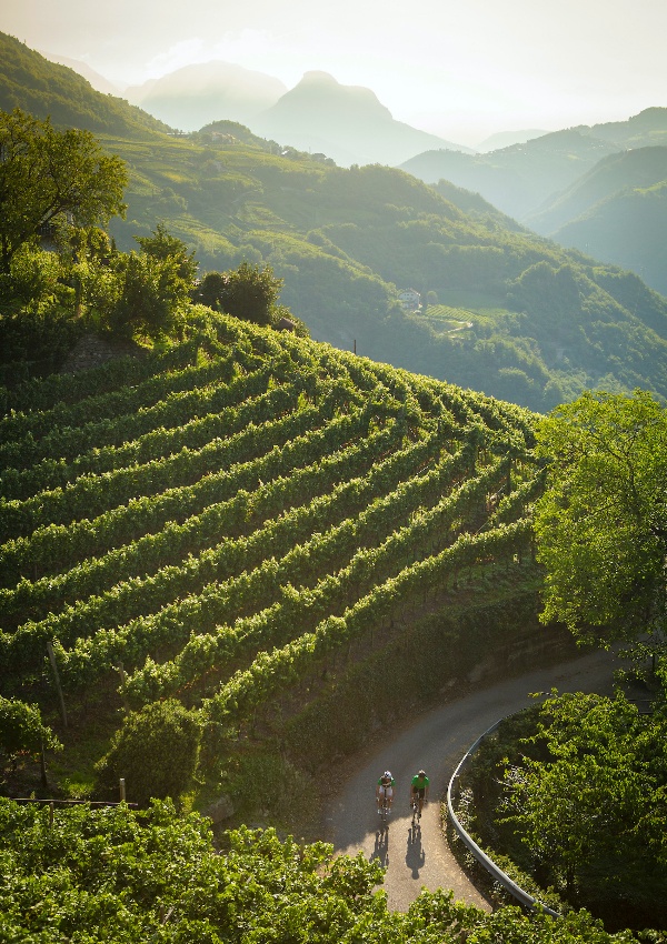 Bike und Wine