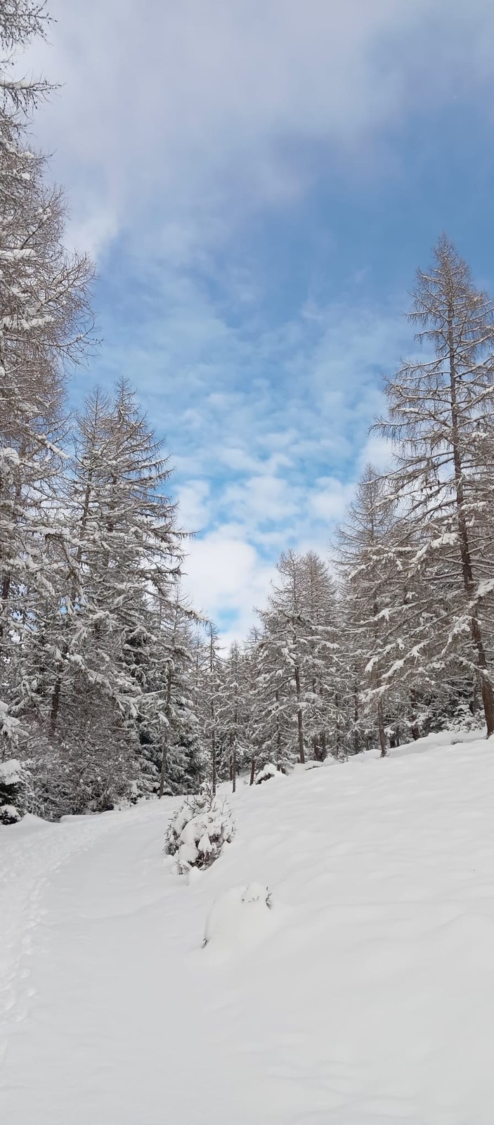 Winterstaller hut*