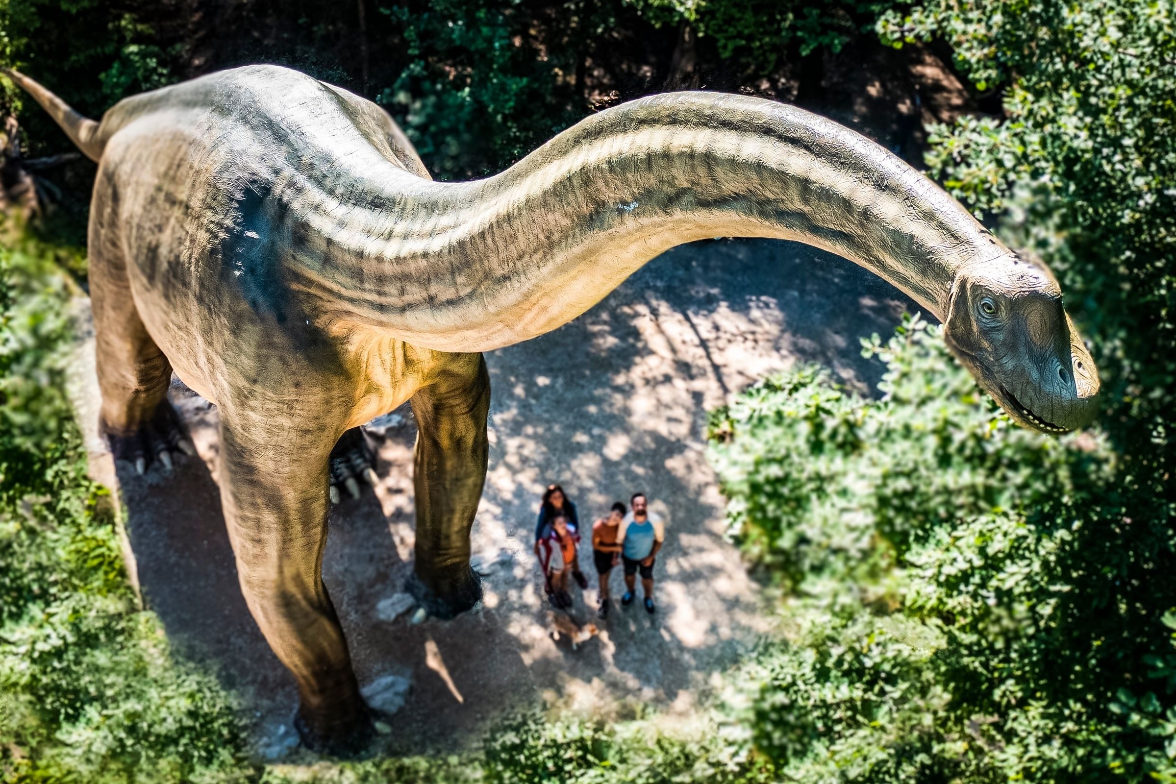 Halb- oder Ganztagesausflug ins Dinosaurier Museum Altmühltal