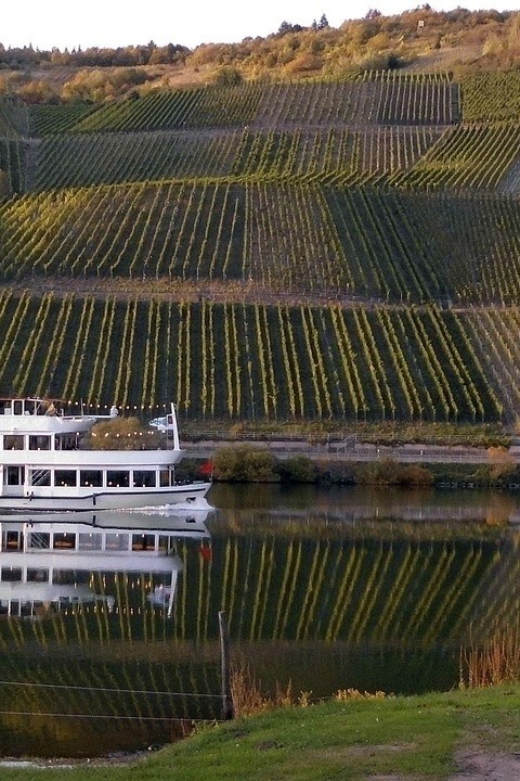Weinverkostung auf der Mosel
