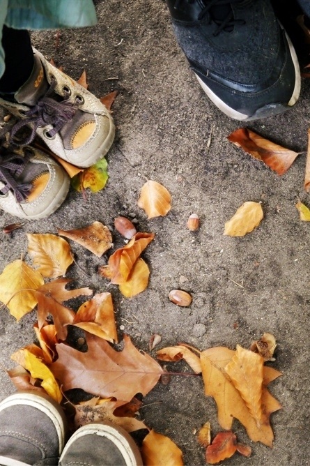 Herbstwanderung
