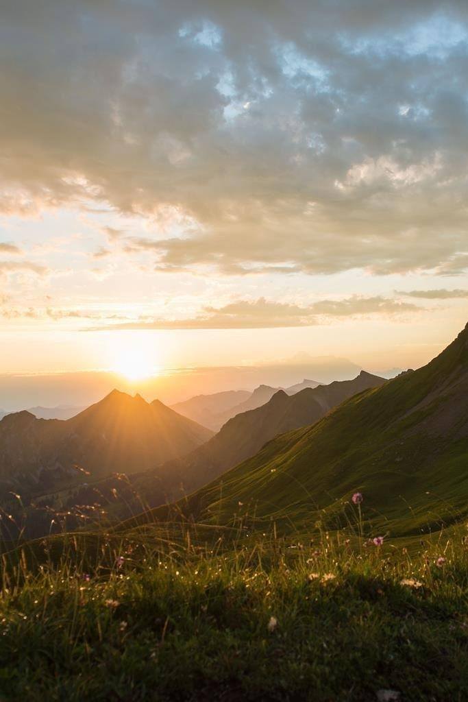 BERGaktiv adventure hike with a tour of the cheese dairy
