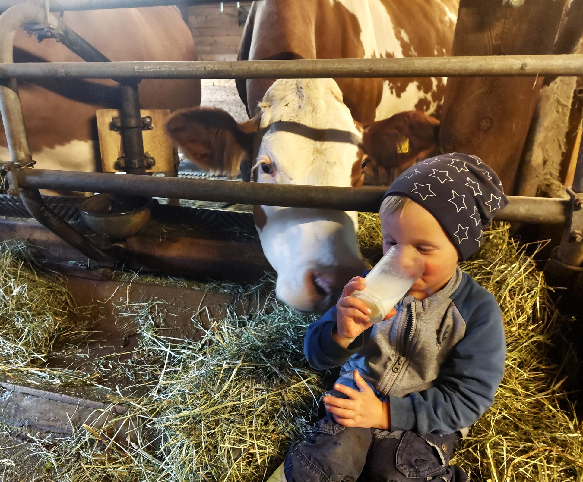 Abend im Stall - echte Bauernhofmomente erleben