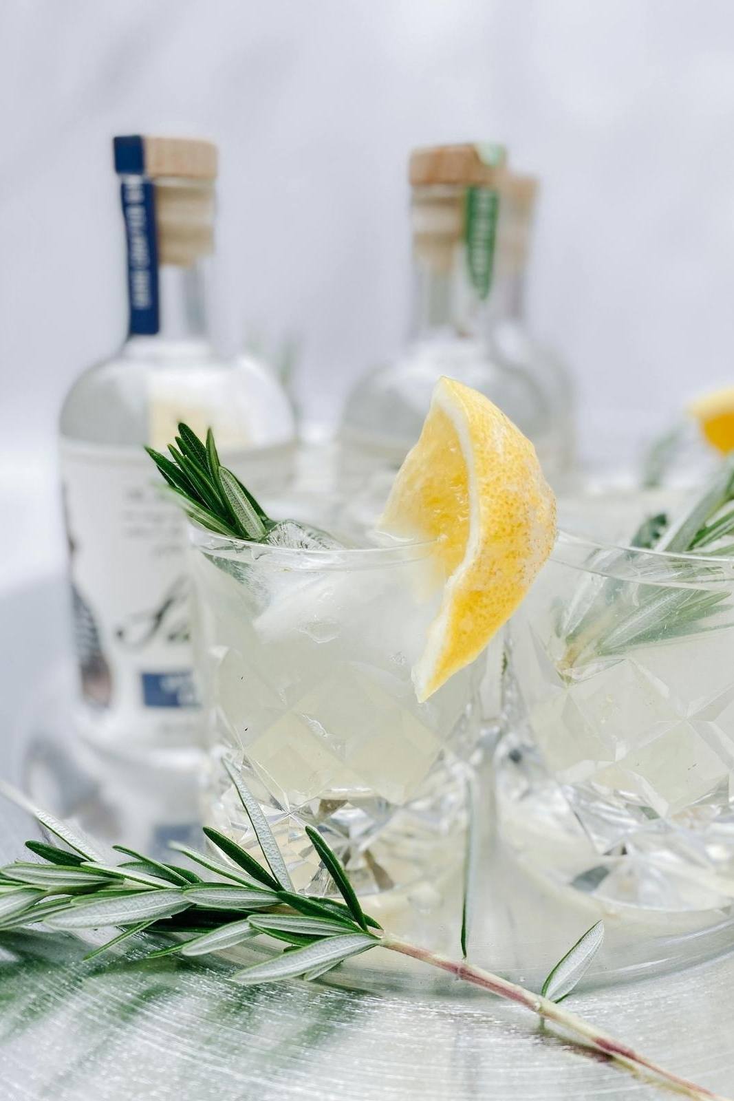 Gin-Tasting