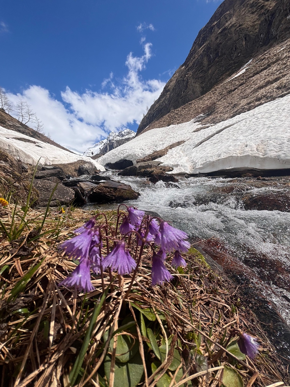 Excursion | Eisbrugger Lake*