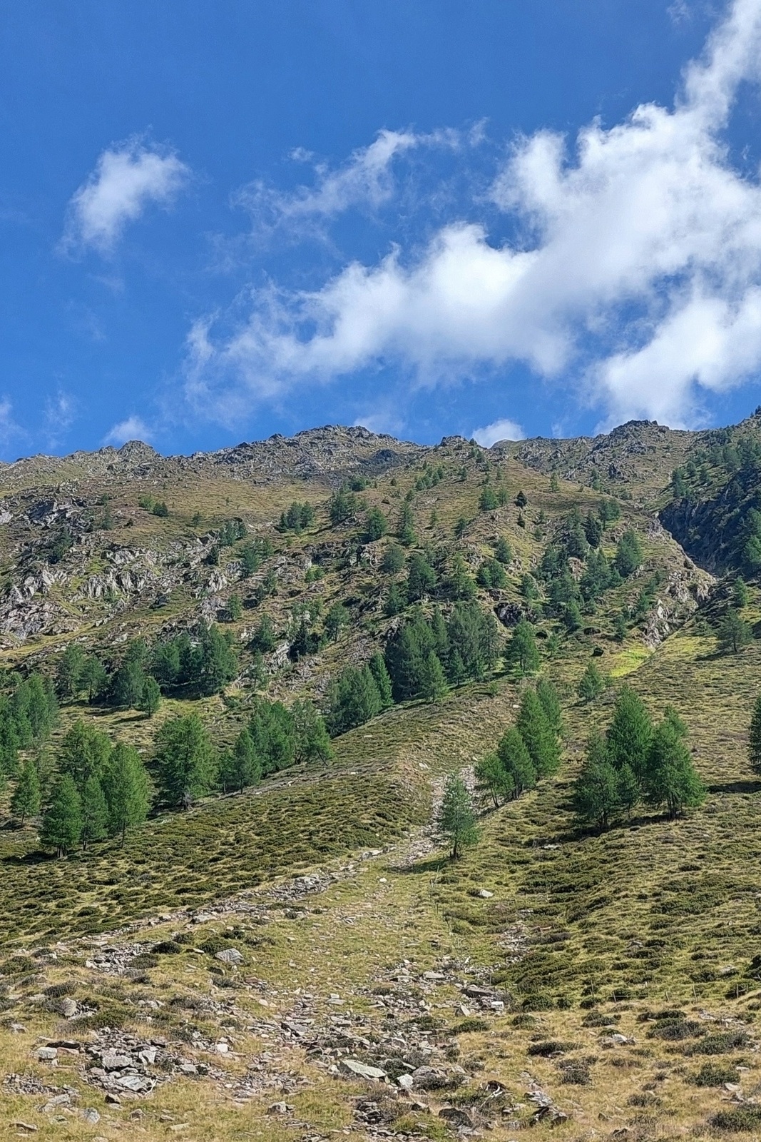 Slide 3