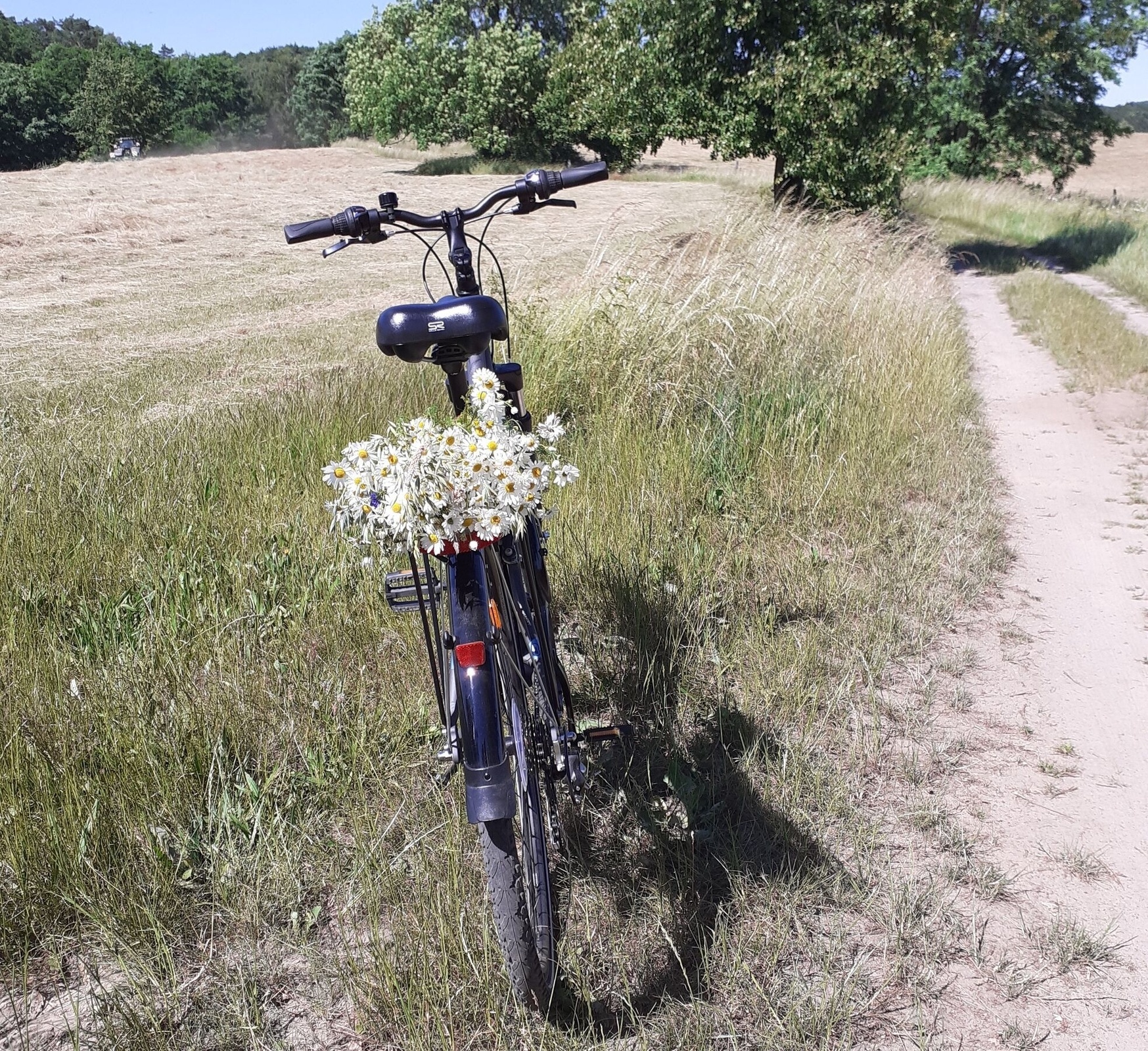 Wenn Kirchen erzählen – DorfKirchenFahrradTour
