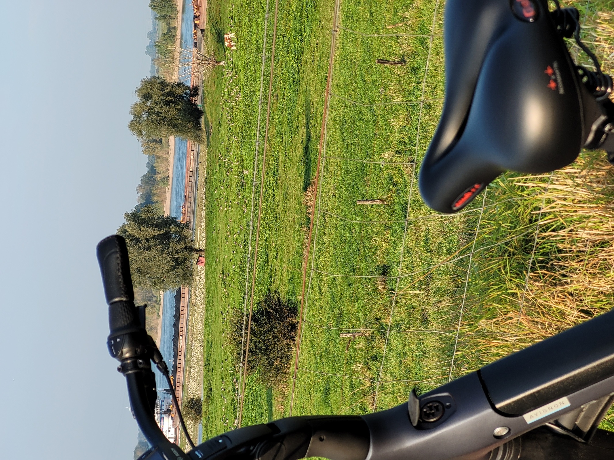 Fahrradtour am Rhein