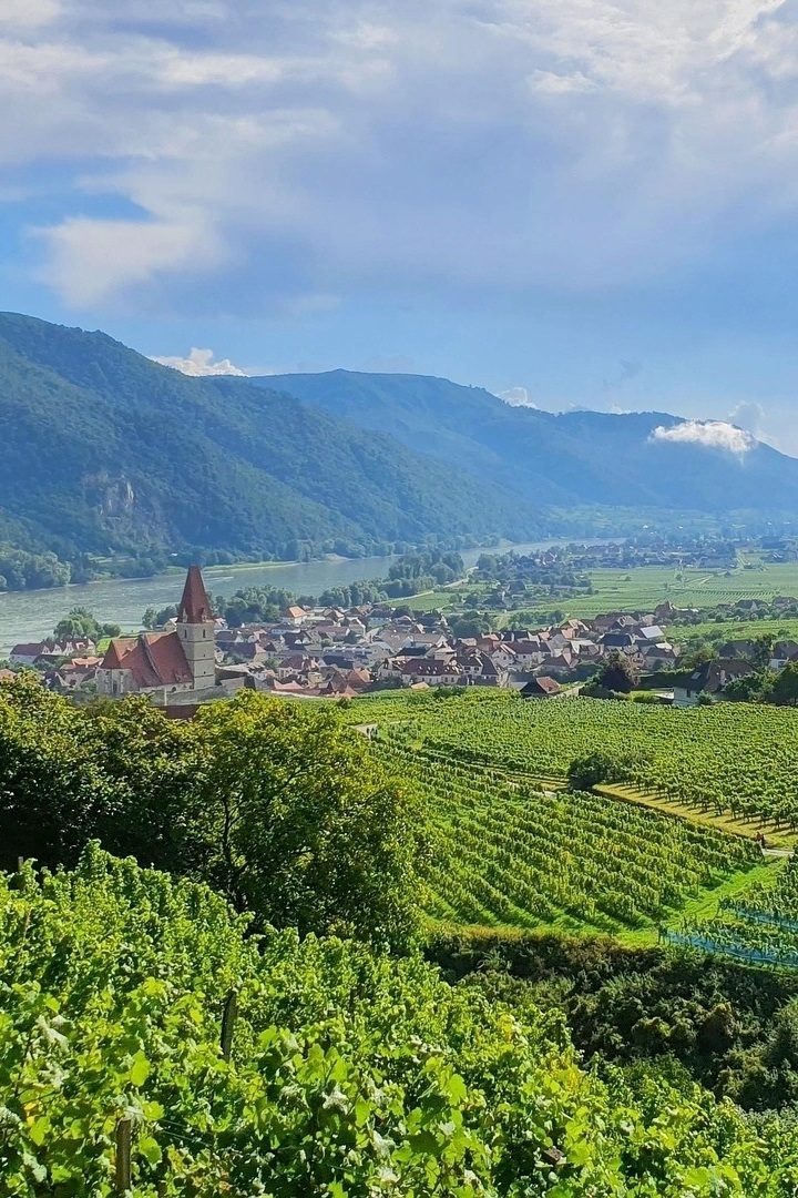 Wachau World Heritage Trail: 180 km of hiking pleasure through history