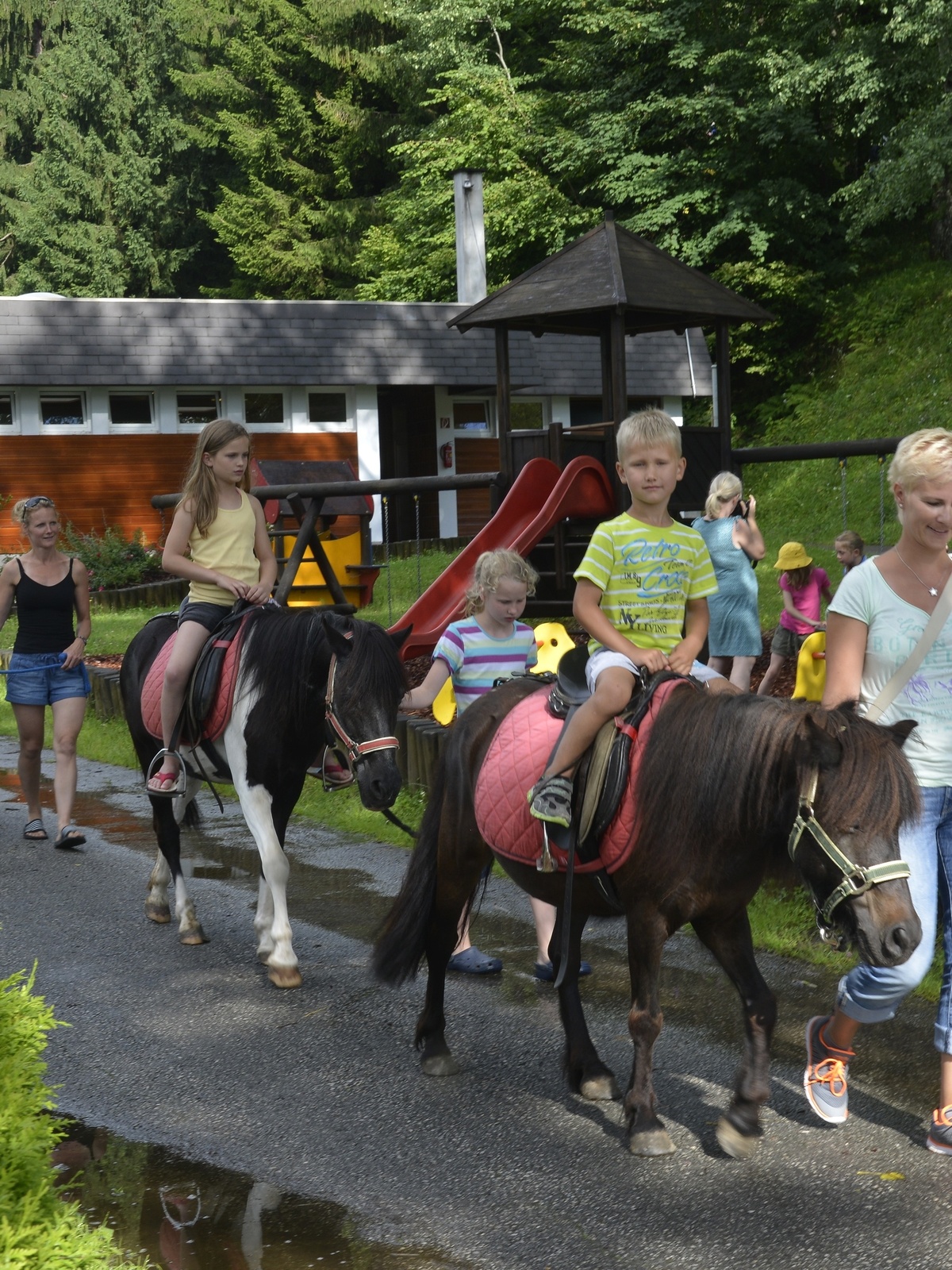 Ponyrijden