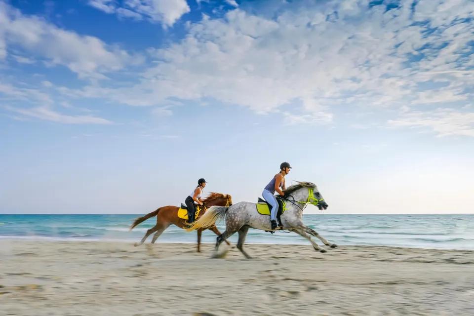 Reiten auf Djerba – Strandritte & Sonnenuntergang