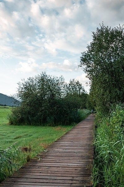 Flora&Fauna