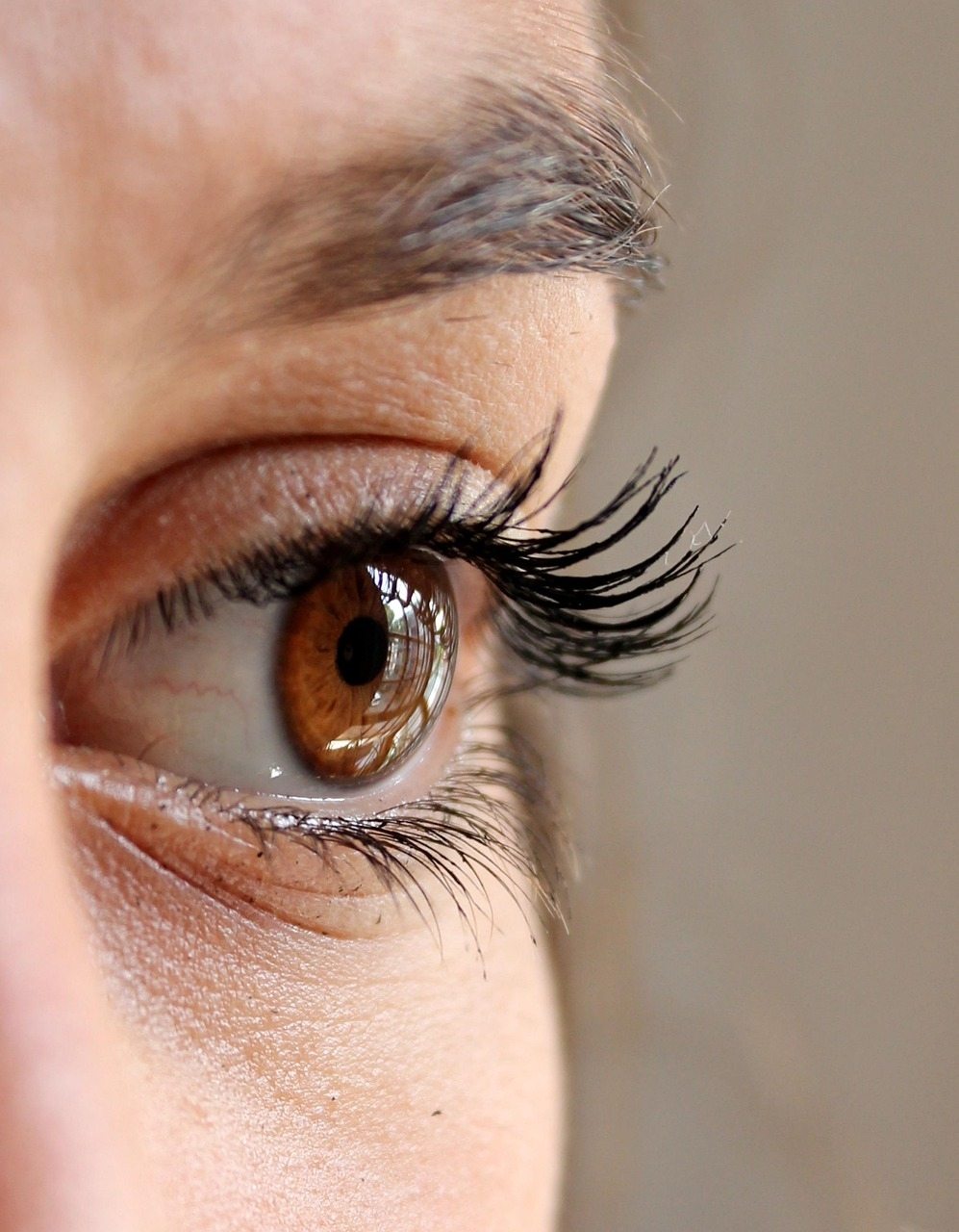 Extras- Combination:Eyelashes & eyebrows