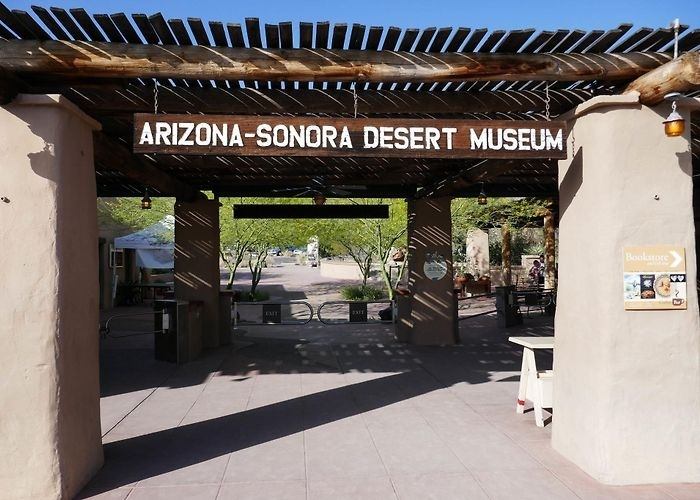 Sonora Desert Museum