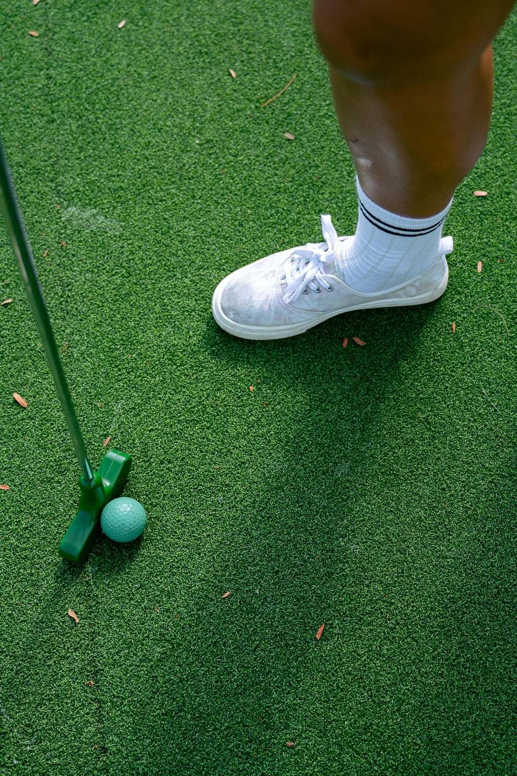 Minigolf fun at the foot of Königstein Fortress