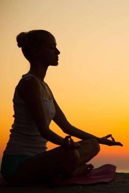 Moments of Stillness | Meditation