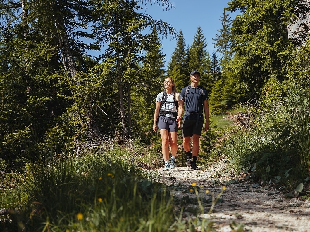 
Geführte Wanderung über den Taltbühl