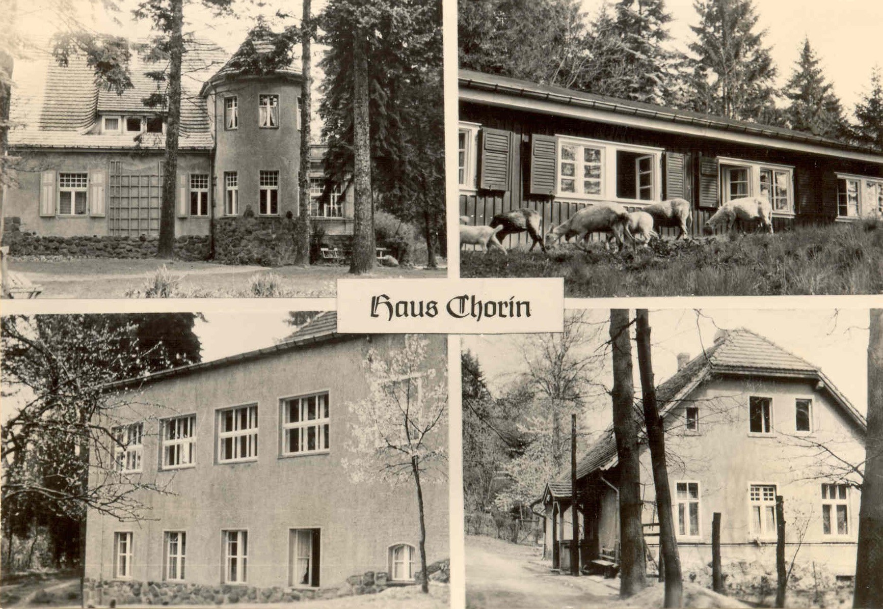 Geschichte vom Hotel Haus Chorin image