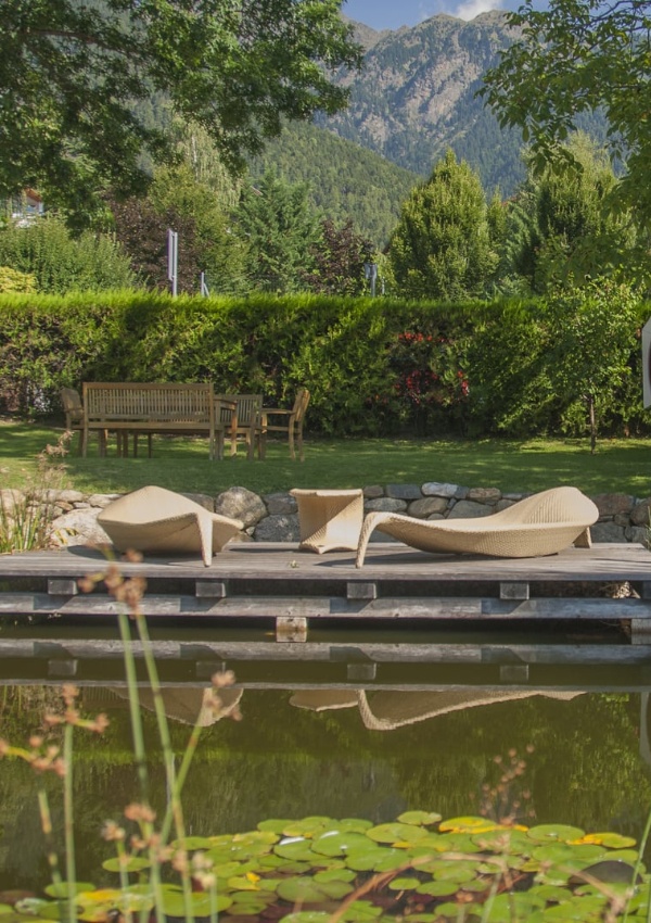 Relax between dragonflies & water lilies
