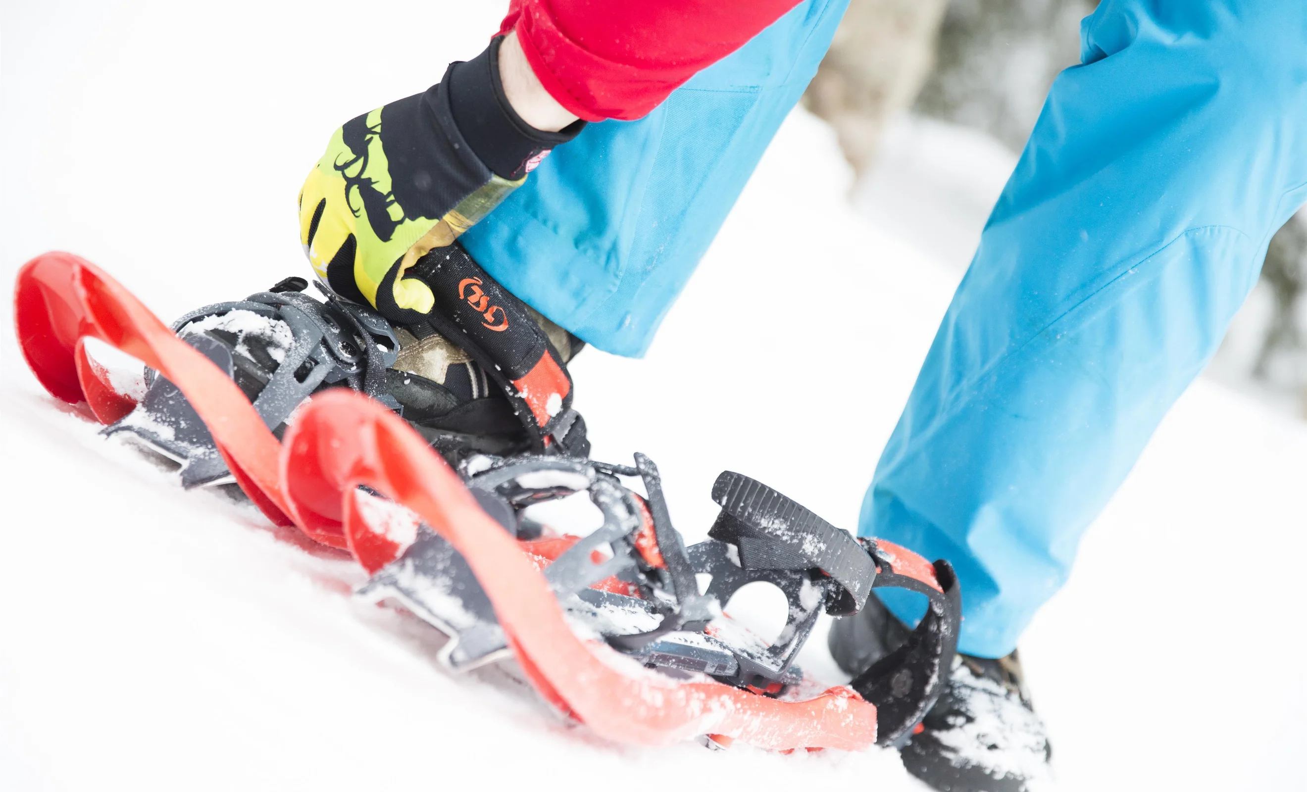 Schneeschuhtour in die Melköde