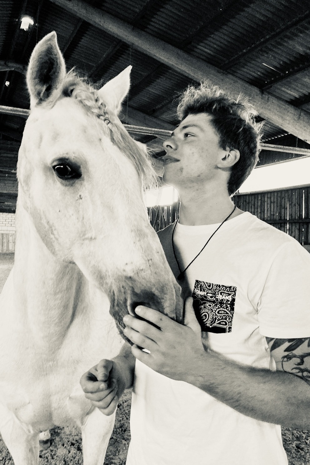 Become a horse and pony sponsor! 