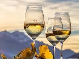 Degustazione con Franziska Steinhauser image