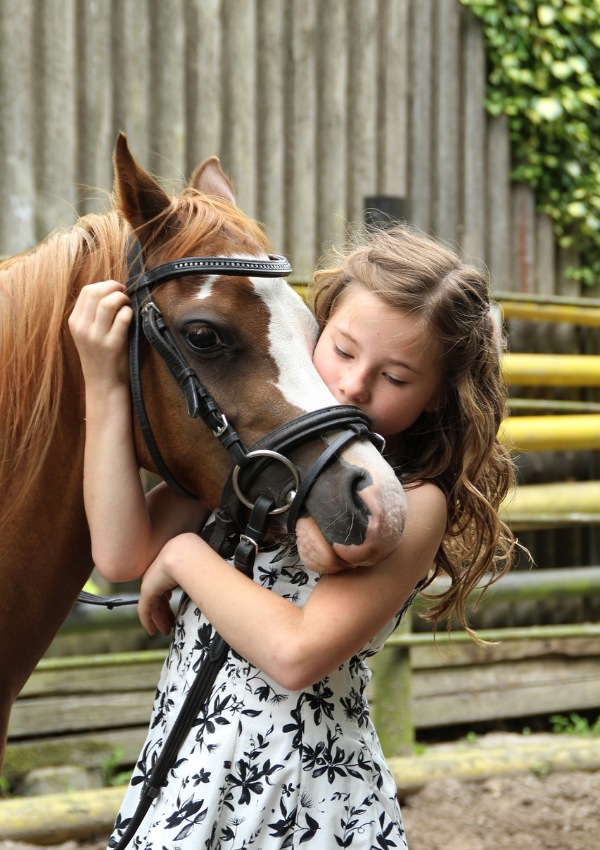 Reiten