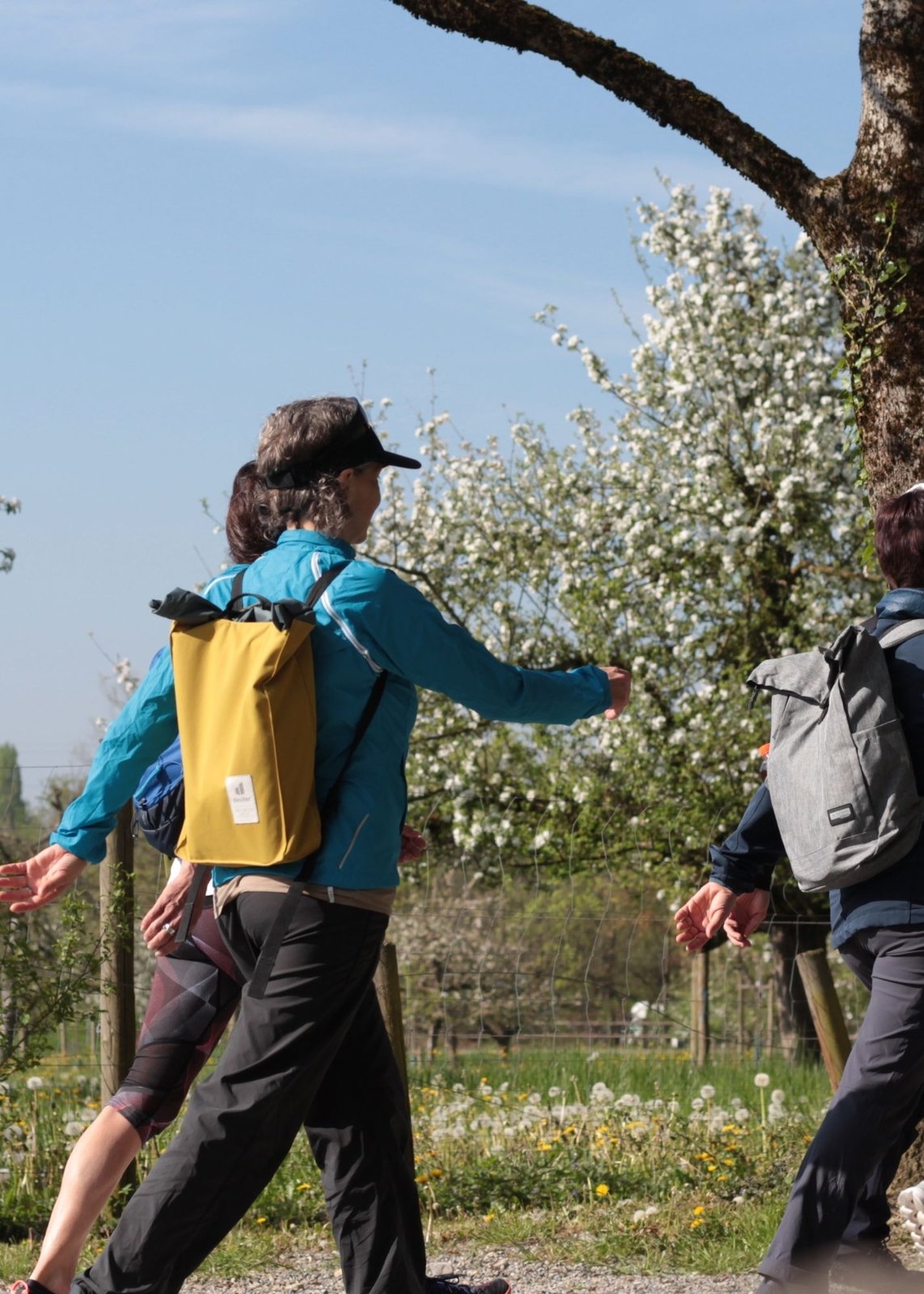 Faszien Walking & Slow Jogging
mit anschließender Belohnung